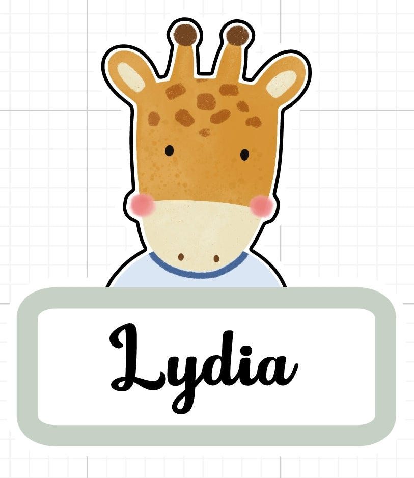 Personalised Vinyl Name Stickers